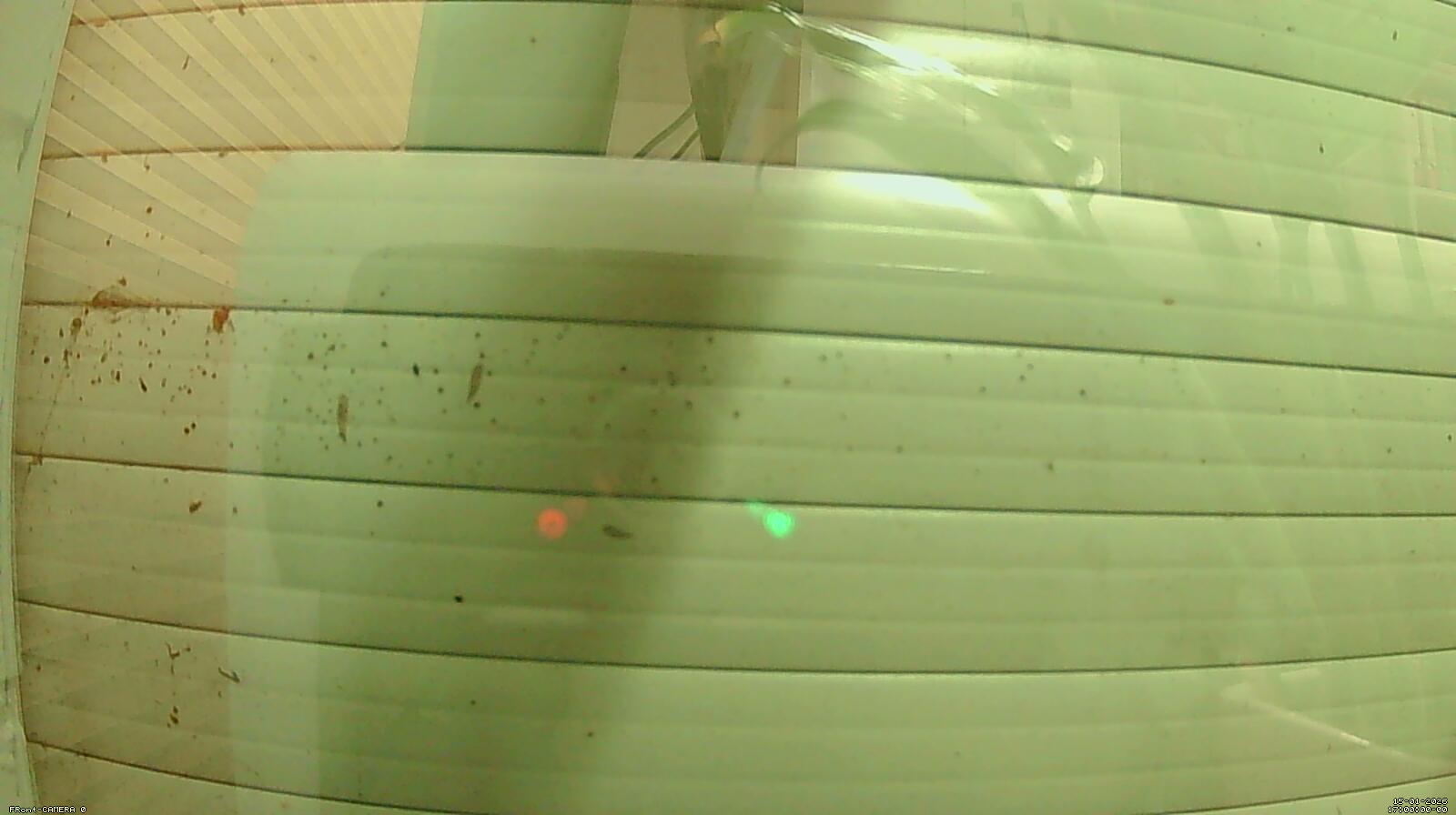 Stream z.Zt.nicht aktiv